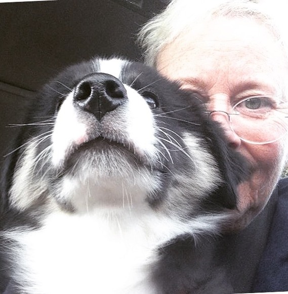 Meet your Posher, Karen - Picture 1 of 1